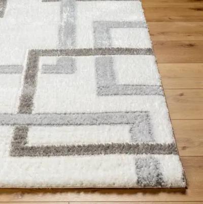 Nomadic NMC-2313 7'10" x 10' Machine Woven Rug