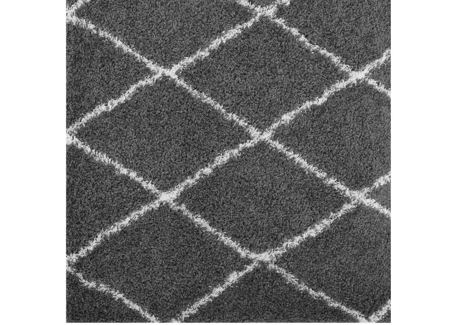 Toryn Diamond Lattice 5x8 Shag Area Rug