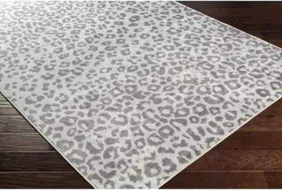 Pisa 5' x 7' Rug