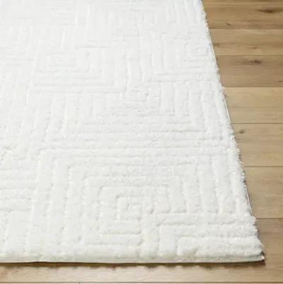 Nomadic NMC-2314 7'10" x 10' Machine Woven Rug