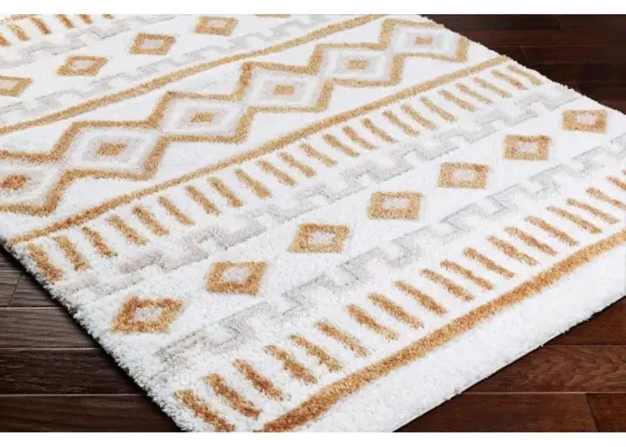 Nomadic NMC-2308 6'7" x 9' Machine Woven Rug