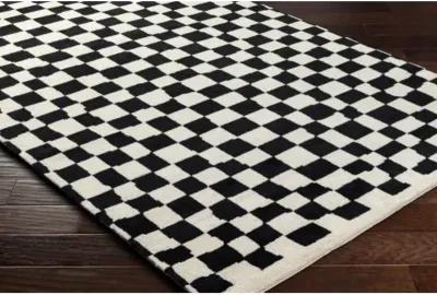 Damier DMI-2301 6' x 9' Handmade Rug