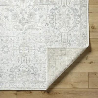 Aleyna ANE-2301 2' x 3' Handmade Rug