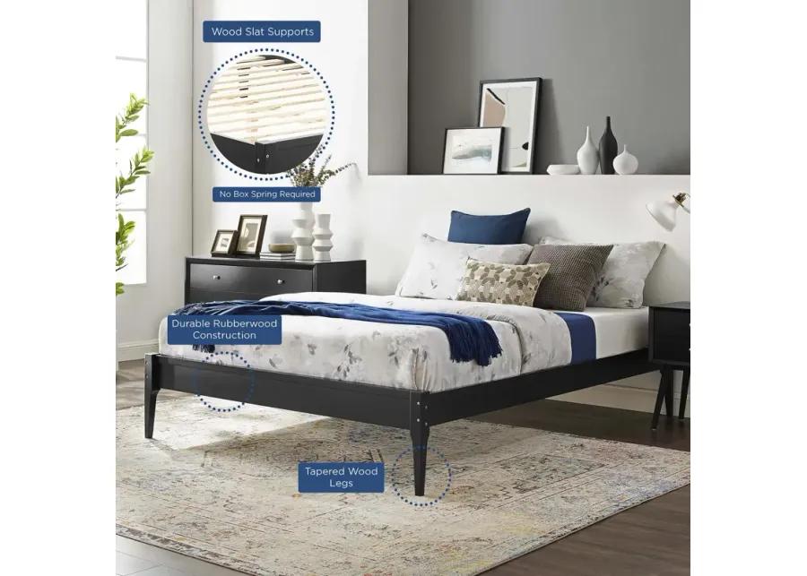 June Queen Wood Platform Bed Frame