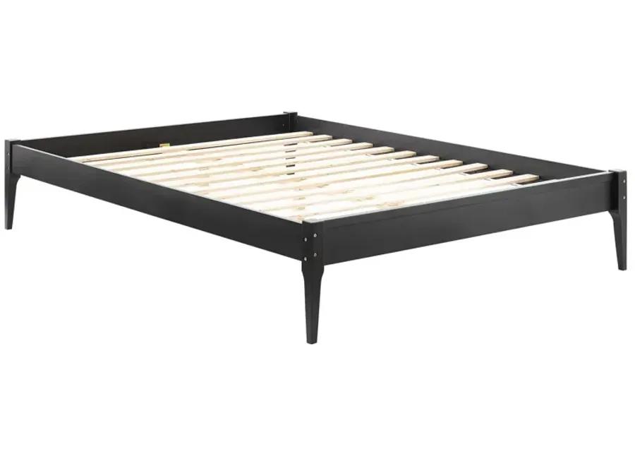 June Queen Wood Platform Bed Frame