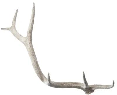 Weathered Elk Antler