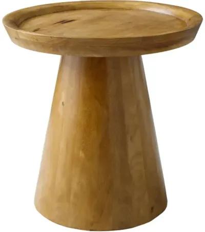 Amira AMIR-002 20"H x 20"W x 20"D End Table