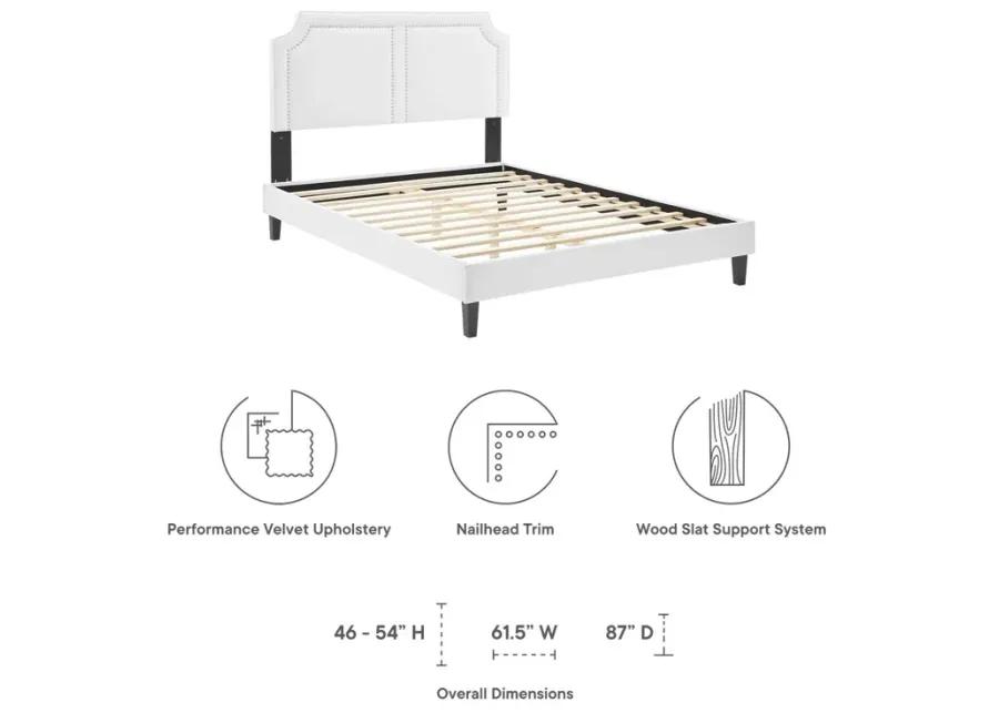 Novi Performance Velvet King Bed