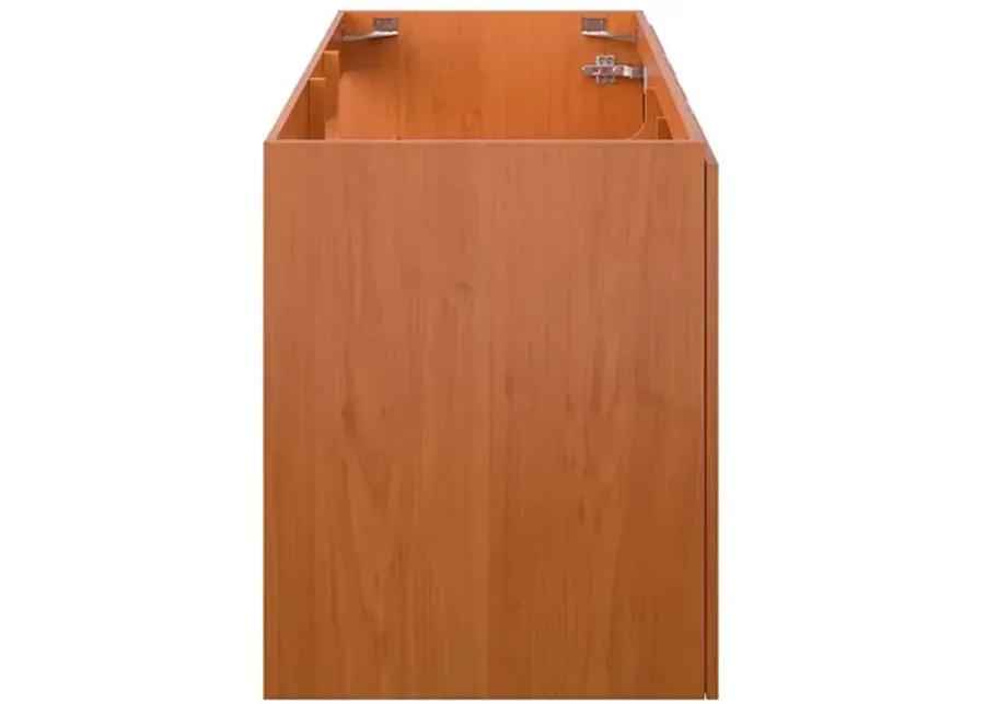 Scenic 48" Single Sink Compatible (Not Included) Bathroom Vanity Cabinet