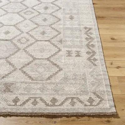 Tempe TPE-2302 2' x 3' Handmade Rug