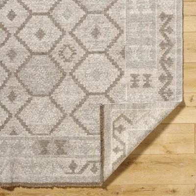 Tempe TPE-2302 2' x 3' Handmade Rug