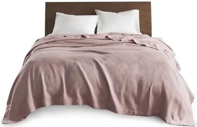 Madison Park Egyptian Cotton Rose Blanket