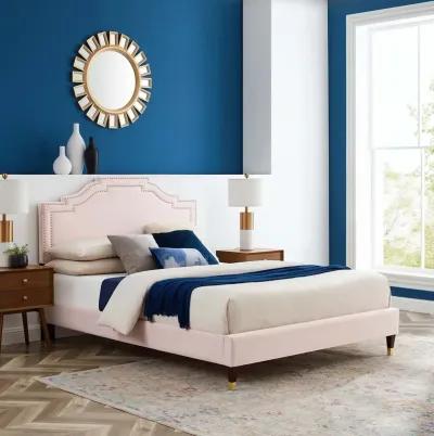 Adelaide Performance Velvet King Platform Bed