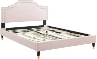 Adelaide Performance Velvet King Platform Bed