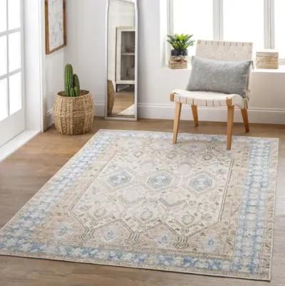 Regen 4' x 6' Rug