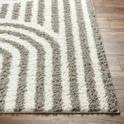 Birmingham BMM-2305 5'3" x 7' Machine Woven Rug