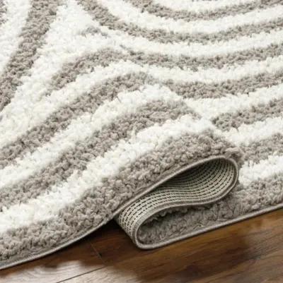 Birmingham BMM-2305 5'3" x 7' Machine Woven Rug