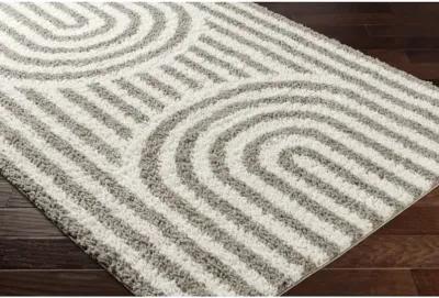 Birmingham BMM-2305 5'3" x 7' Machine Woven Rug