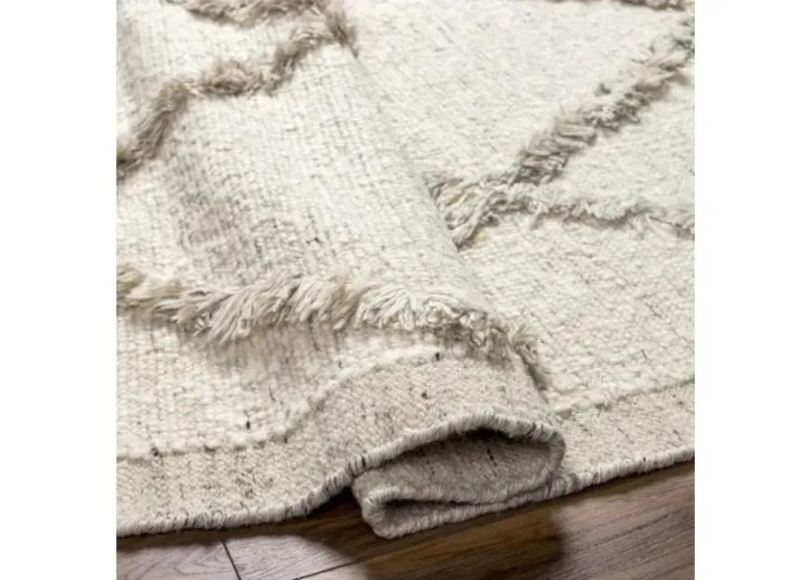 Tripoli TRP-2302 9' x 12' Handmade Rug