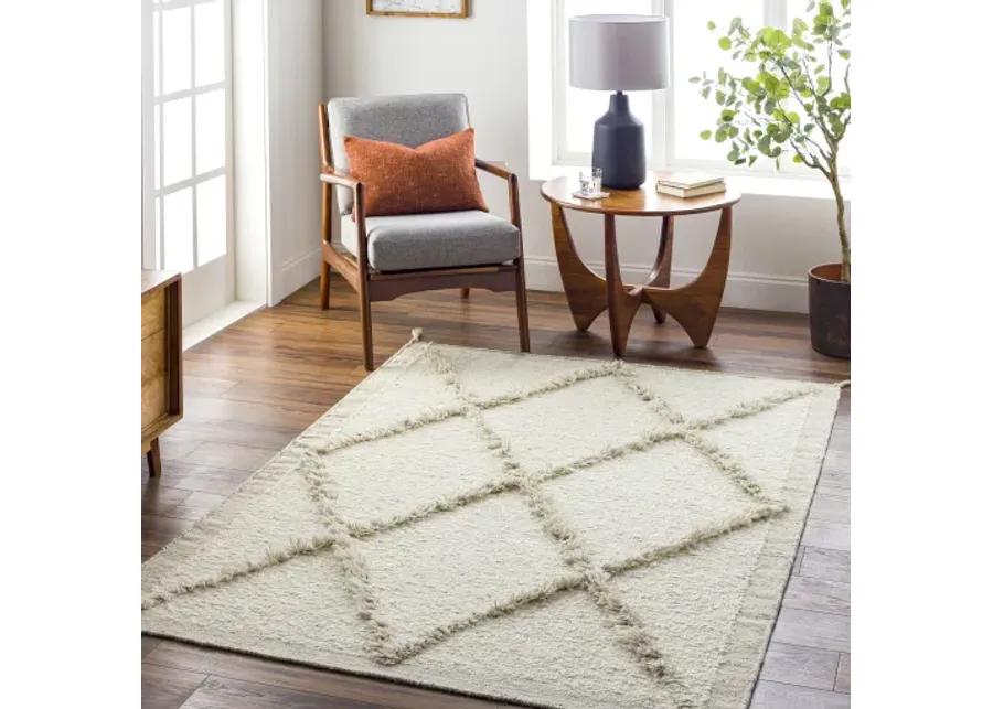 Tripoli TRP-2302 9' x 12' Handmade Rug