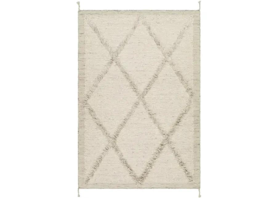 Tripoli TRP-2302 9' x 12' Handmade Rug