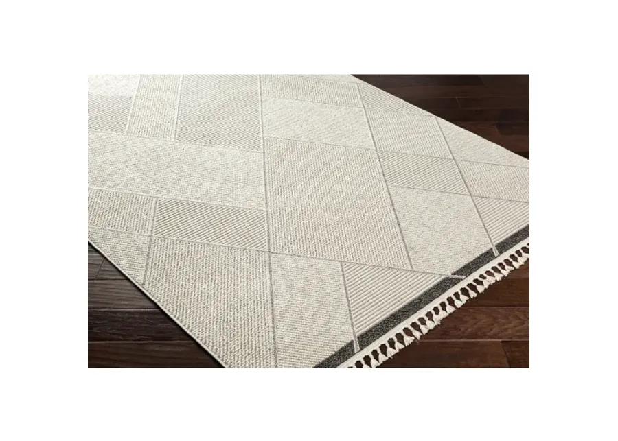 Finland FND-2303 2'2" x 3'9" Machine Woven Rug