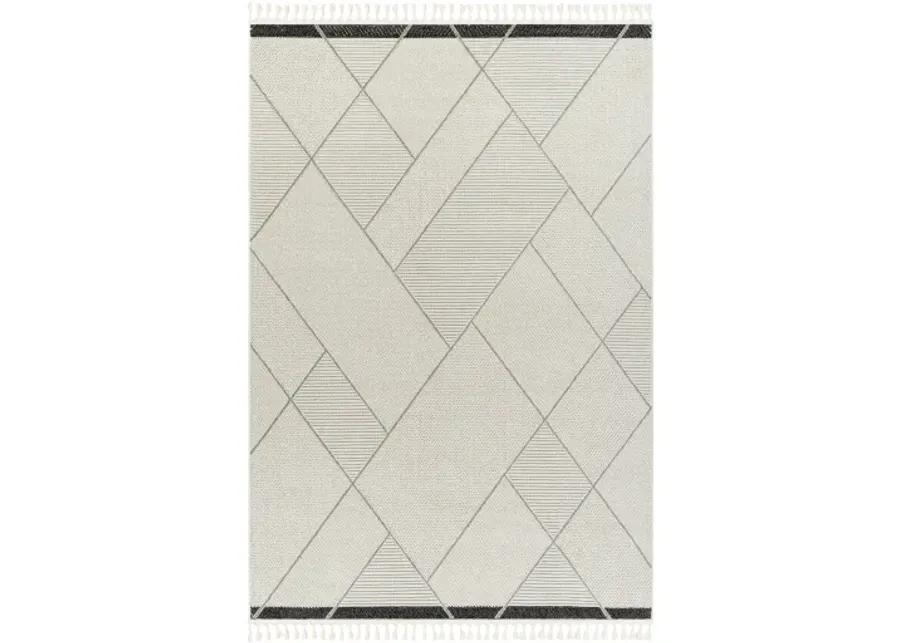 Finland FND-2303 2'2" x 3'9" Machine Woven Rug