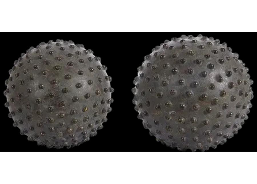 Roni Decorative Ball Table Decor - Set of 2