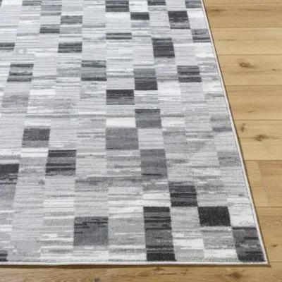 Monte Carlo MNC-2362 5'3" x 7'3" Machine Woven Rug