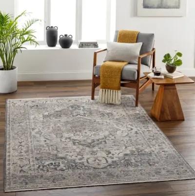 Aida AAD-2311 5' x 7'9" Machine Woven Rug