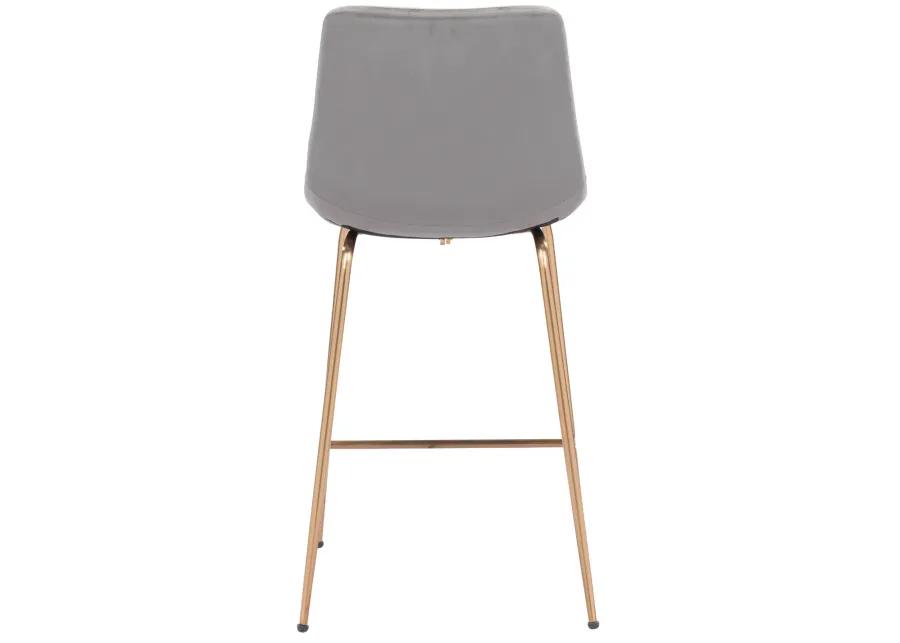 Tony Counter Stool Gray & Gold