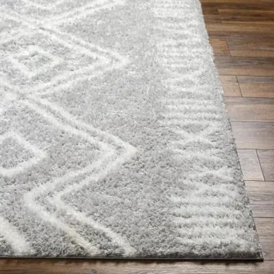 Cloudy Shag CDG-2312 5'3" x 7' Machine Woven Rug