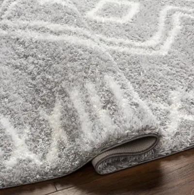 Cloudy Shag CDG-2312 5'3" x 7' Machine Woven Rug