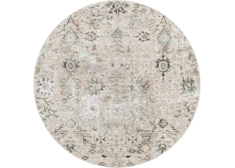 Brunswick 2'7" x 4' Rug