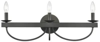 Williamson 24" Wide 3-Light Vanity Light - Black