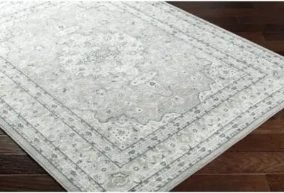 Hera HRH-2309 7'10" x 10'6" Machine Woven Rug