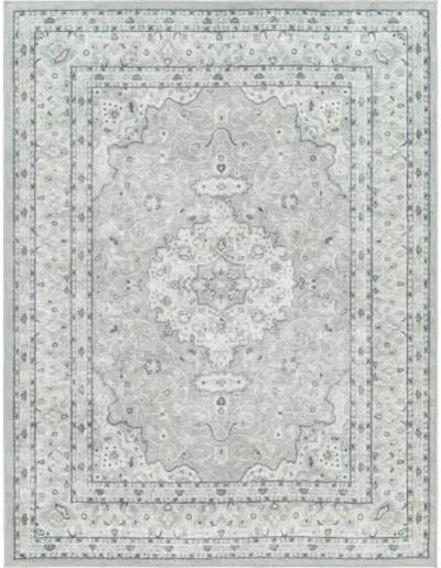 Hera HRH-2309 7'10" x 10'6" Machine Woven Rug