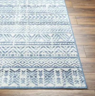 Hera HRH-2305 6'7" x 9' Machine Woven Rug