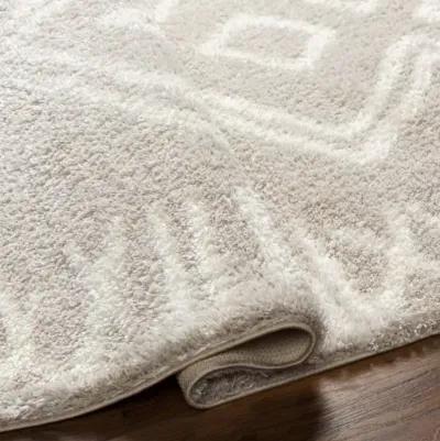 Cloudy Shag CDG-2311 5'3" x 7' Machine Woven Rug