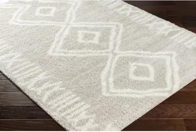 Cloudy Shag CDG-2311 5'3" x 7' Machine Woven Rug