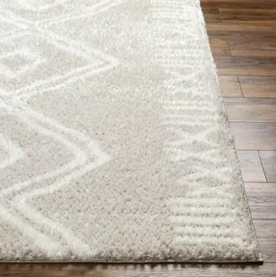 Cloudy Shag CDG-2311 5'3" x 7' Machine Woven Rug