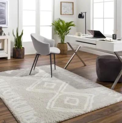 Cloudy Shag CDG-2311 5'3" x 7' Machine Woven Rug