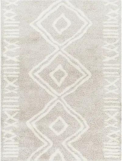 Cloudy Shag CDG-2311 5'3" x 7' Machine Woven Rug