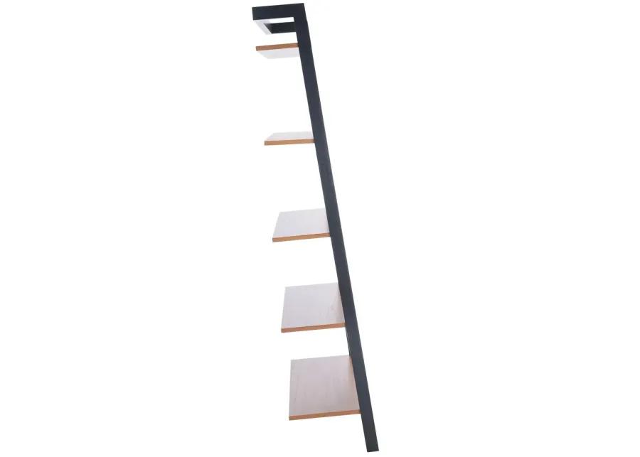 Beauregard 5 Tier Leaning Etagere