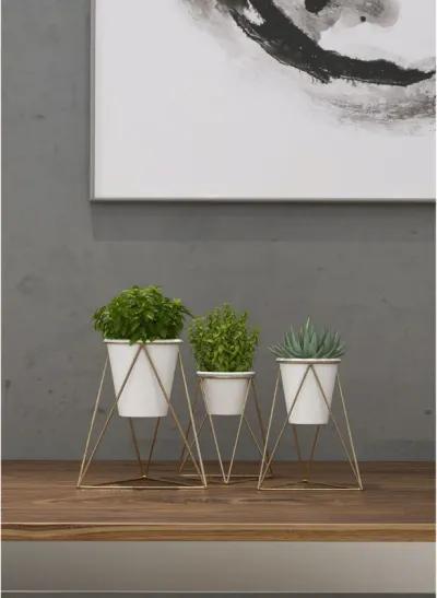 Viola Metal Table Top Planter, Set of 3