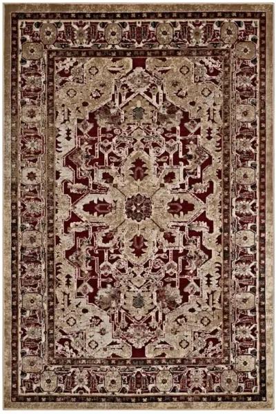 Grania Ornate Vintage Floral Turkish 8x10 Area Rug