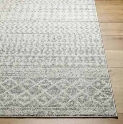 Elaziz ELZ-2308 2'7" x 18' Rug