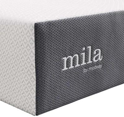 Mila 12" Twin Mattress