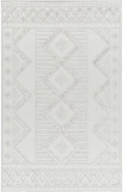 West Palm WPM-2300 2'7" x 7'3" Machine Woven Rug