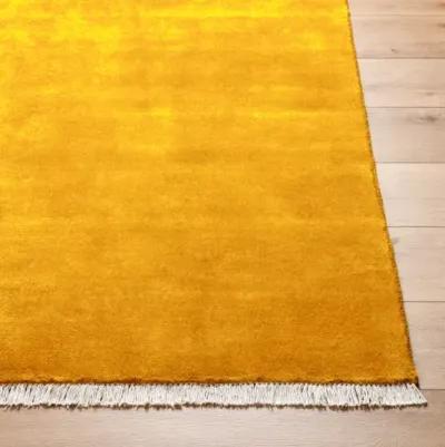 Evergreen EVG-2309 2' x 3' Hand Made Rug